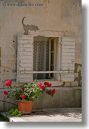 images/Europe/Croatia/Trogir/Flowers/window-n-flowers-4.jpg