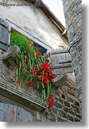 images/Europe/Croatia/Trogir/Flowers/window-n-flowers-7.jpg