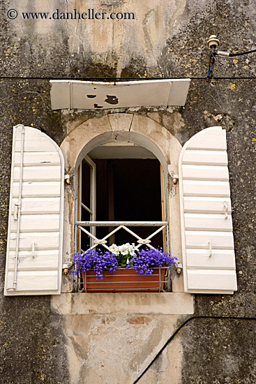 window-n-flowers-2.jpg