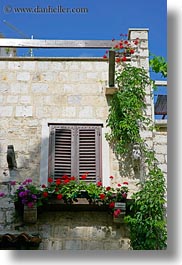 images/Europe/Croatia/Trogir/Windows/window-n-flowers-5.jpg