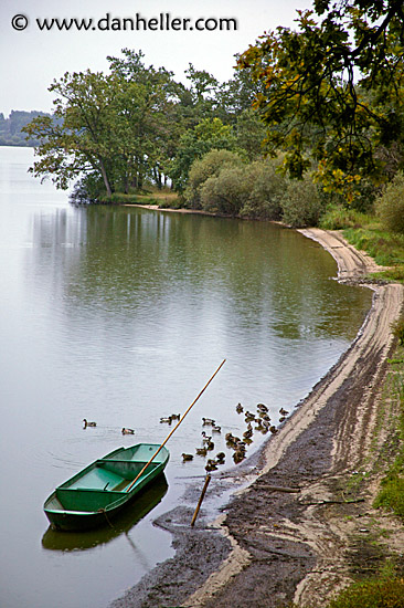 boat-birds-bay.jpg