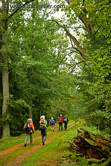 hiking-road-1.jpg