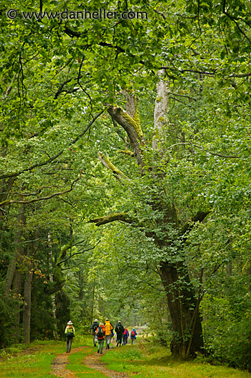 hiking-road-3.jpg