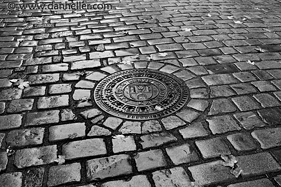 cesky-manhole-2-bw.jpg