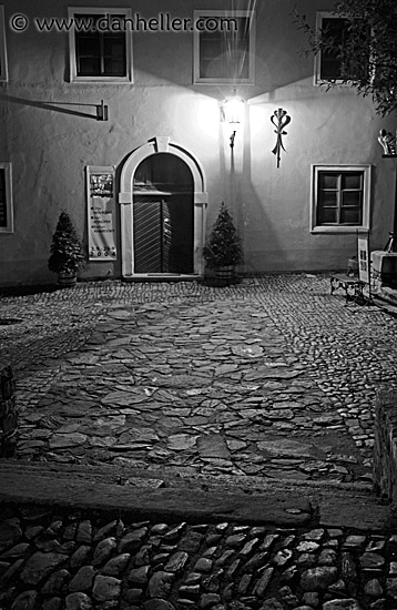 door-lite-nite-bw.jpg