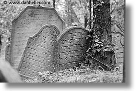 images/Europe/CzechRepublic/Mikulov/JewishCemetary/jewish-graves-5-bw.jpg