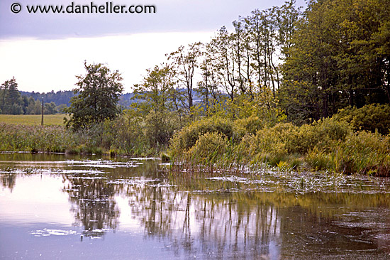 reflective-pond.jpg