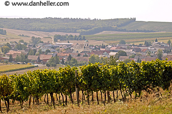 vinyard-town-2.jpg