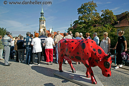 loreta-cow.jpg