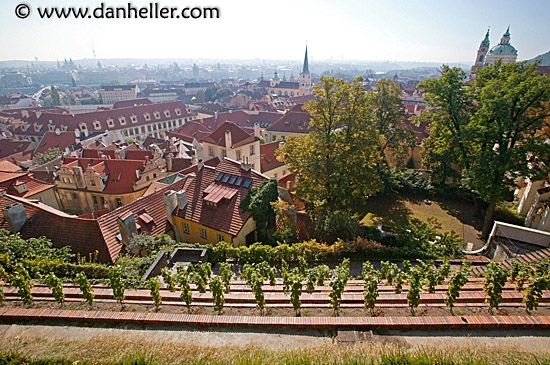 prague-cityscape-3.jpg