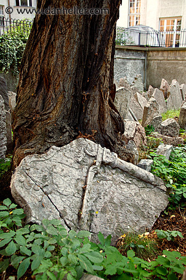 jewish-graves-16.jpg