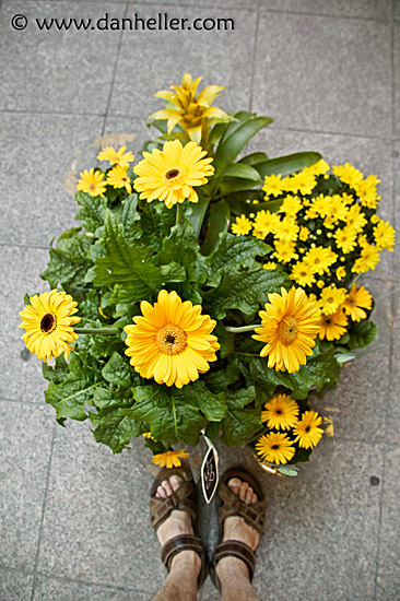 flower-feet.jpg