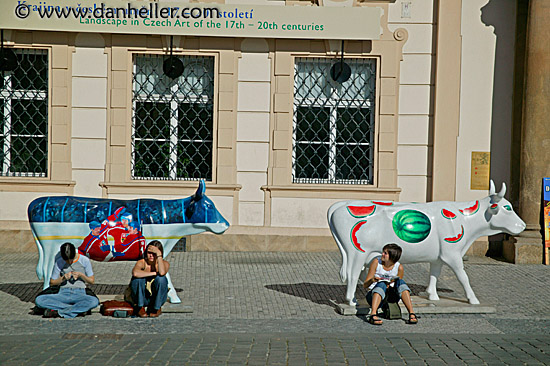 czech-cows-2.jpg