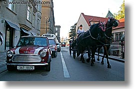 images/Europe/CzechRepublic/Prague/Streets/mini-horses.jpg