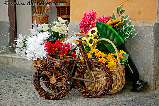 wicker-tricycle-1.jpg