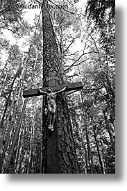black and white, czech republic, europe, jesus, sumava forest, trees, vertical, photograph
