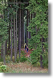 images/Europe/CzechRepublic/SumavaForest/woods-hiking-2.jpg