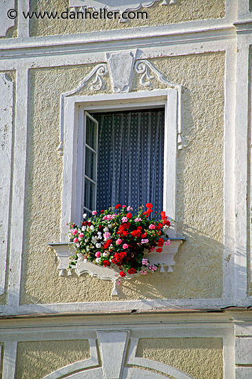 flowery-window-1.jpg