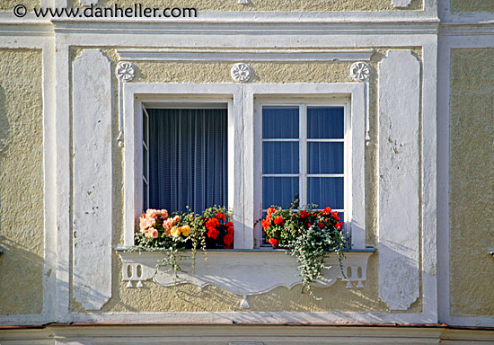 flowery-window-2.jpg