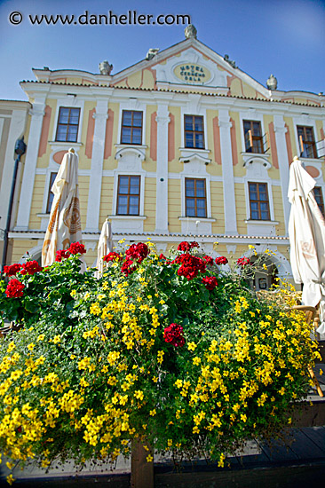 telc-flowers-1.jpg