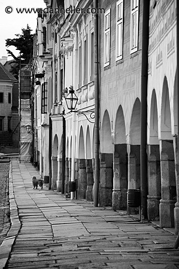 telc-sidewalk-2-bw.jpg