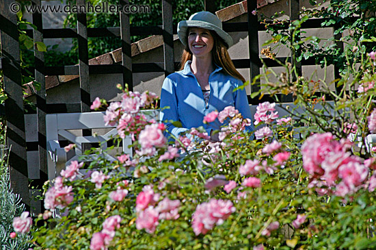 shelley-flowers-1.jpg