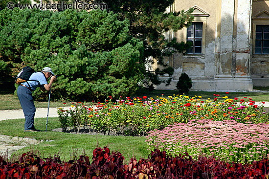 jay-shooting-flowers.jpg