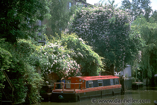 flowery-riverbank-1.jpg