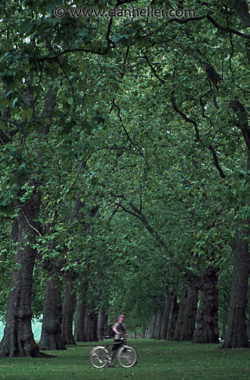 hyde-park-biker.jpg