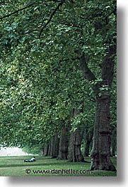 images/Europe/England/London/HydePark/hyde-park-trees-2.jpg