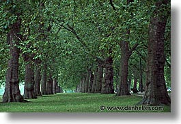 images/Europe/England/London/HydePark/hyde-park-trees-4.jpg