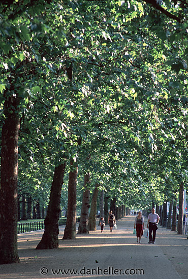 hyde-park-walk.jpg