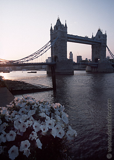 tower-bridge-0025.jpg