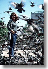 images/Europe/England/London/Trafalgar/Pigeons/the-birds-3.jpg