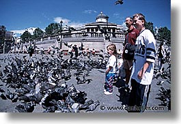 images/Europe/England/London/Trafalgar/Pigeons/traf-pigeons-0002.jpg
