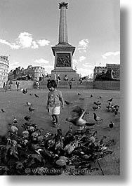 images/Europe/England/London/Trafalgar/Pigeons/traf-pigeons-0007.jpg