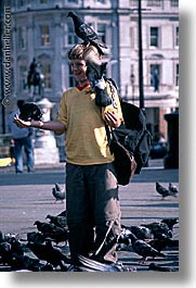 images/Europe/England/London/Trafalgar/Pigeons/traf-pigeons-0010.jpg