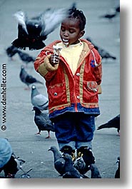 images/Europe/England/London/Trafalgar/Pigeons/traf-pigeons-0013.jpg