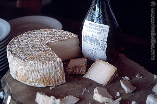 cheese-08.jpg