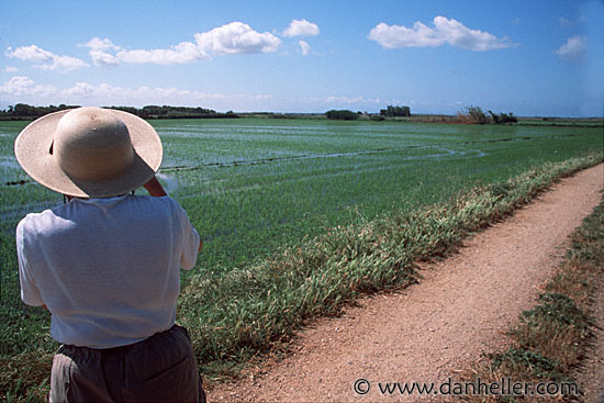 elaines-hat-01.jpg