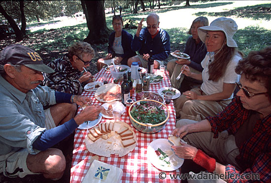 group-lunch.jpg