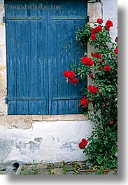 images/Europe/France/IleDeRe/roses-window-1.jpg