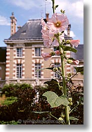images/Europe/France/LoireValley/Castles/flower-bldg.jpg