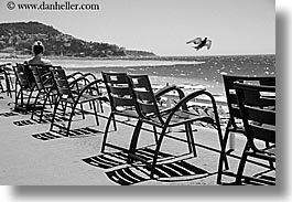 images/Europe/France/Nice/chairs-bird-sea-bw.jpg