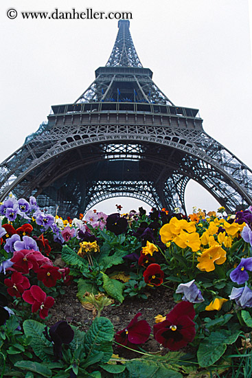 eiffel_tower-n-flowers-2.jpg