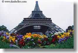 images/Europe/France/Paris/EiffelTower/eiffel_tower-n-flowers-3.jpg