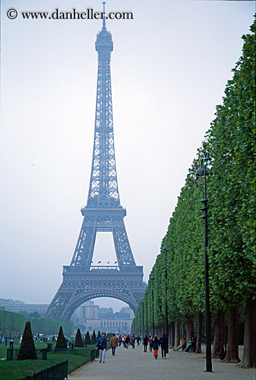 eiffel_tower-n-hazy-trees-1.jpg