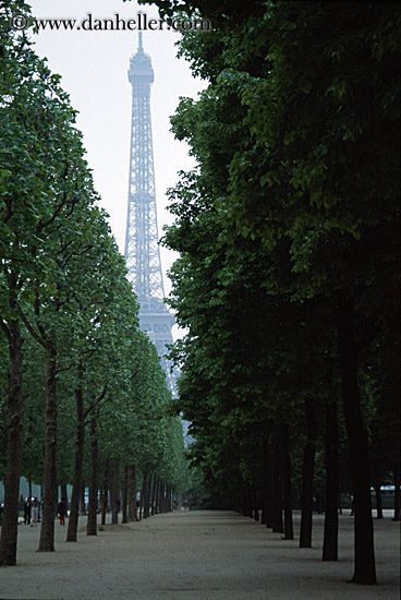 eiffel_tower-n-hazy-trees-2.jpg