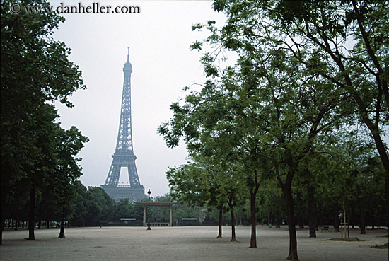 eiffel_tower-n-hazy-trees-3.jpg