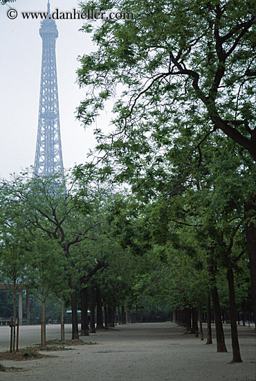 eiffel_tower-n-hazy-trees-4.jpg